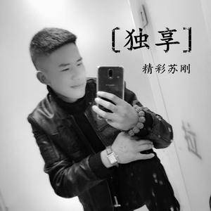 红尘来去一场梦（dj版）